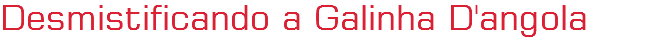 Desmistificando a Galinha D'angola