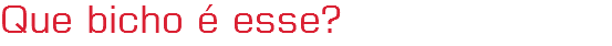 Que bicho é esse?